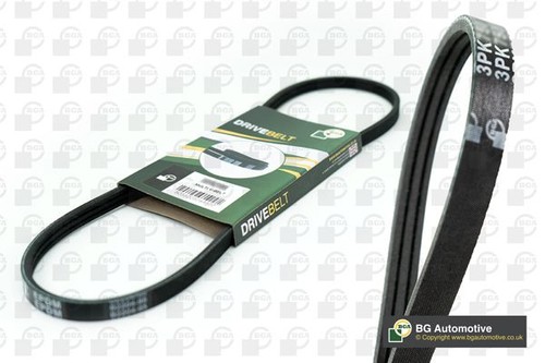 Ribbed belt fits renault - v-ribbed,