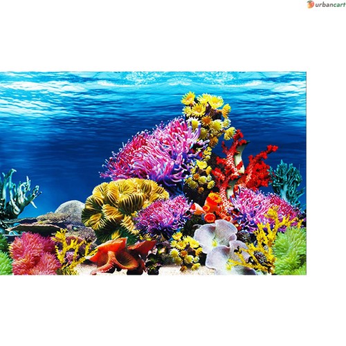 Vibrant undersea aquarium - vibrant,