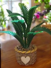 12th Scale dolls house House