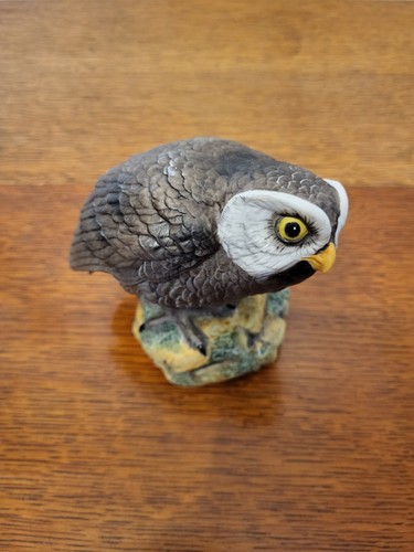 Vintage aynsley animal kingdom - vintage,