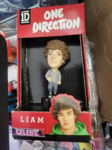 One direction liam payne - one,