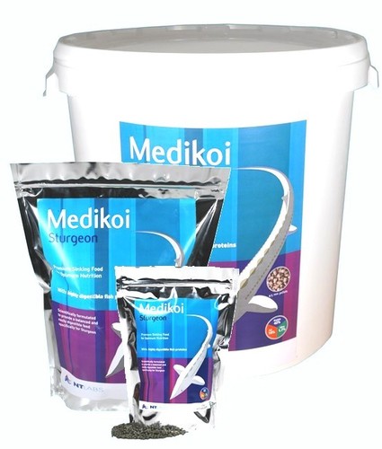 Labs medikoi sturgeon - nt,