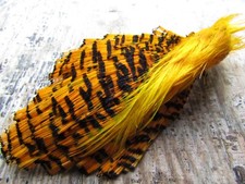 IFS Synthetic Picric Golden Pheasant Complete Head,Tippet, Crest, hackle,Bumble.