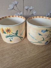 Teacup Royal Stafford