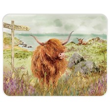 National Trust Highland Cattle