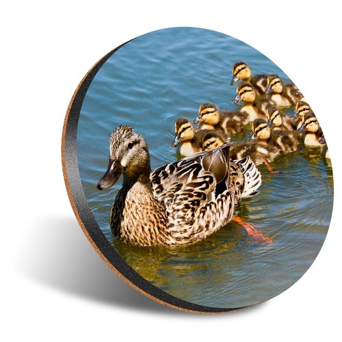 Round coaster 12cm mallard - round,