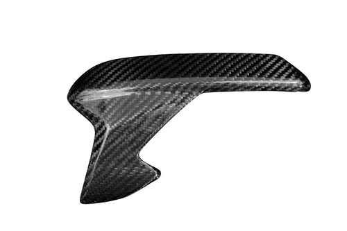 Carbon side panels - side, triumph