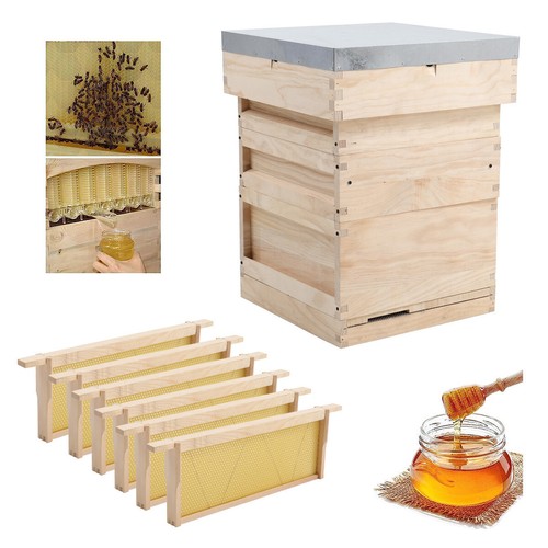 National bee hive - hive,