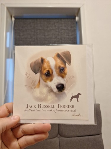 Jack russell terrier greetings - jack,