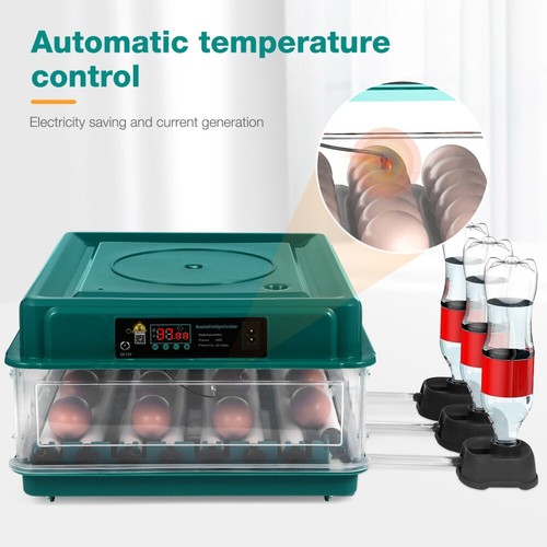 Egg incubators for hatching - egg,