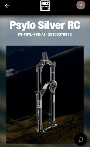 Rockshox psylo silver - psylo,