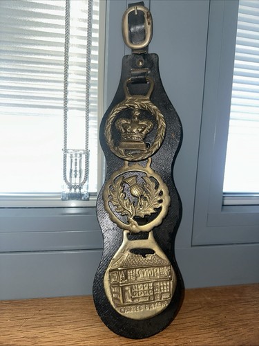 Vintage horse brass - vintage,