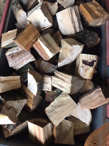 Apple wood chunks - apple,
