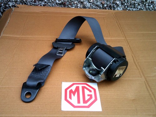 Seatbelt fits left - tf,