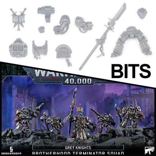 Grey knights paladin - grey,
