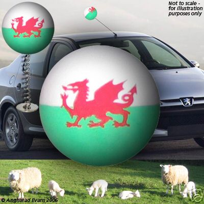 Pack welsh antenna - welsh,