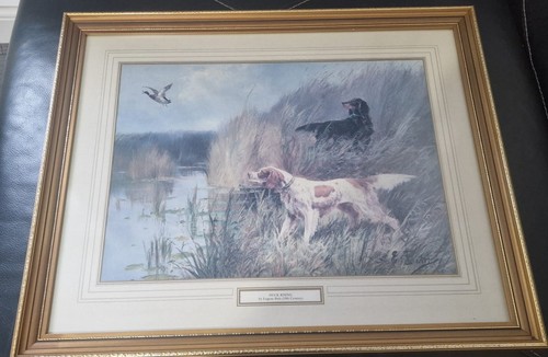 Duck rising framed - rising, print