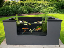 The instant pond - Render