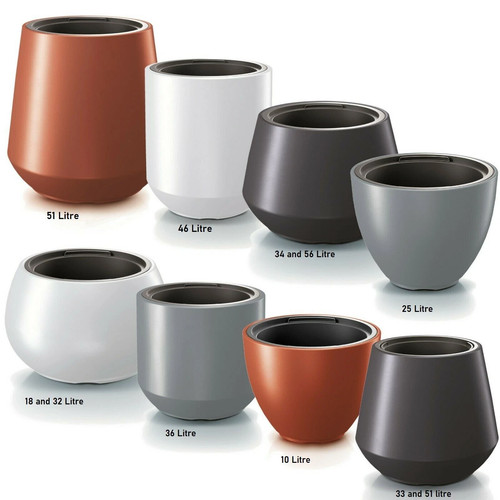 Plant flower pot large - plant,