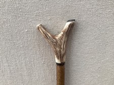 Red Deer Antler Walking Hazel Thumb Stick  No.6