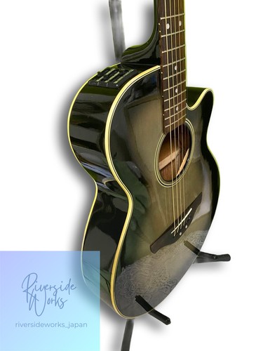 Takamine electric acoustic - takamine,