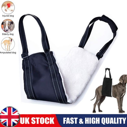 Large dog mobility aids - large,