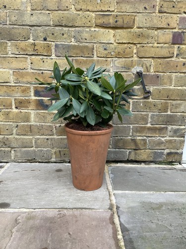 Large vintage terracotta pot - vintage,
