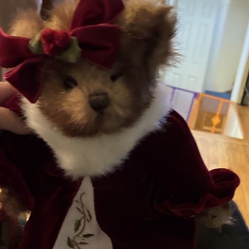 Holly ivy bearington - ivy,