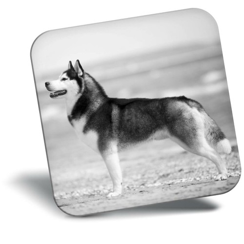 Awesome fridge magnet - awesome, bw