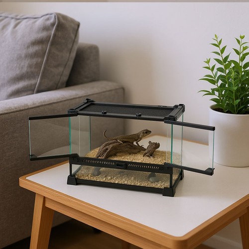 Glass reptile terrarium - reptile,