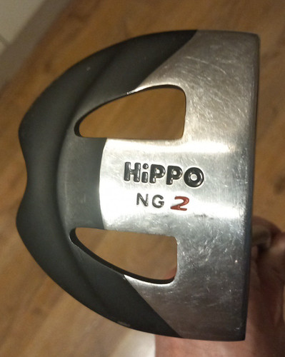 Hippo ng2 face - ng2, balanced