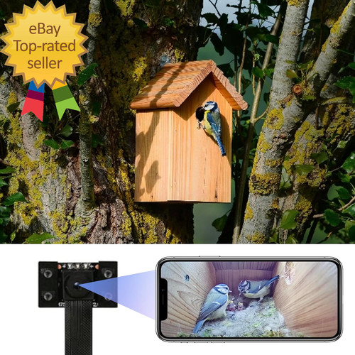 Wifi bird box camera - wifi,