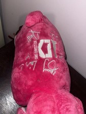 One Direction Limited Edition