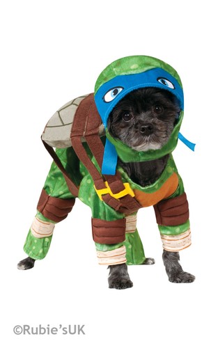 Teenage mutant ninja - teenage, turtles