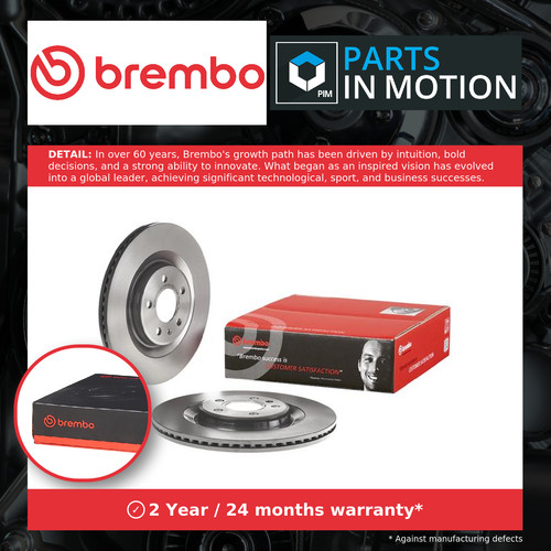 Brake discs pair - discs, vented