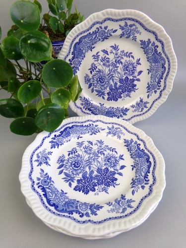 Spode dinner jasmine plates - dinner, x