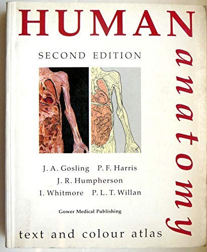 Human anatomy text and - human,