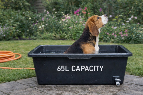 Dog bath tub - dog, pet