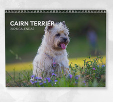 Cairn Terrier Calendar 2026: Monthly Wall Calendar with Notes, opens to A3