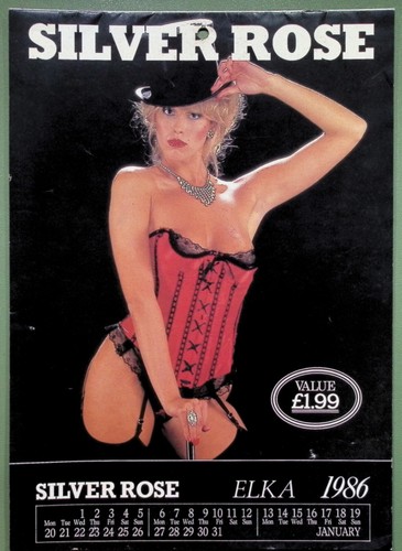 Silver rose 1986 lingerie - silver,
