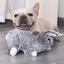 Heartbeat Behavioral Aid Pet