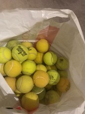  Used tennis balls for dogs -