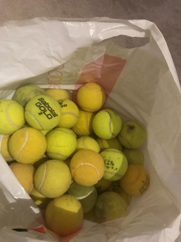 Used tennis balls - , dogs