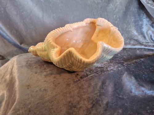 Sea shell shaped - , glazed