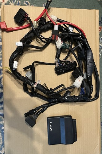 Yamaha rn12 yec ecu wiring - yamaha,