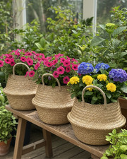 Handwoven Seagrass Basket: Foldable Two-Tier Boho Storage | Eco friendly basket 