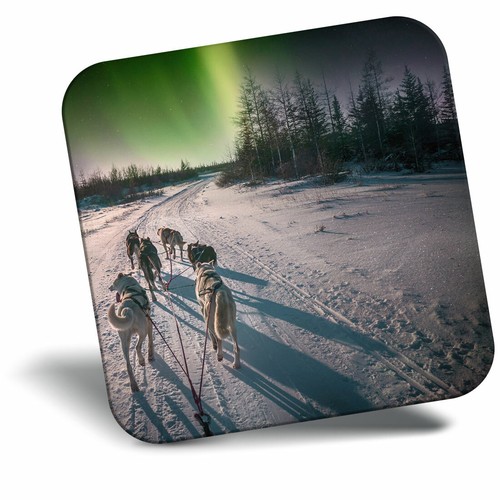 Awesome fridge magnet husky - fridge,