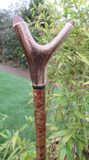 HAND CRAFTED  MOTTLED HAZEL STAGSHORN ANTLER WALKING STICK 53 " LONG