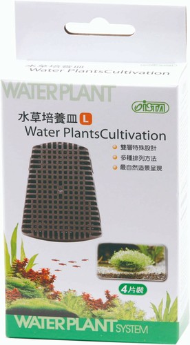 Plant java moss cultivation - plant,