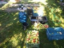 Electric Fruit Apple Crusher Electric Grape Crusher Electric Crushing 1700W/230V